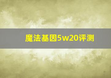 魔法基因5w20评测