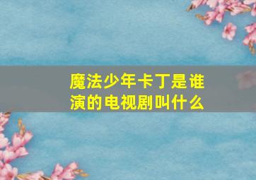 魔法少年卡丁是谁演的电视剧叫什么