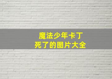 魔法少年卡丁死了的图片大全