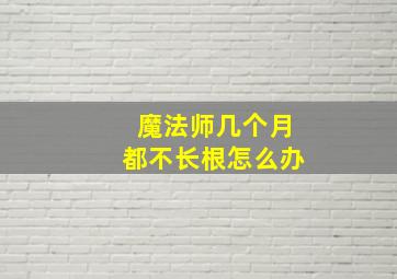 魔法师几个月都不长根怎么办