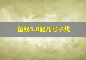 鱼线3.0配几号子线