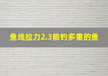 鱼线拉力2.3能钓多重的鱼