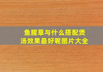 鱼腥草与什么搭配煲汤效果最好呢图片大全