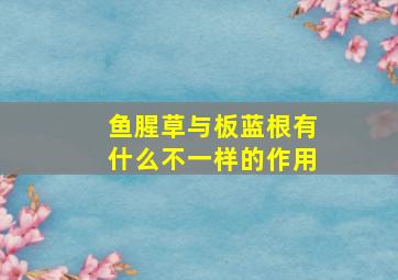 鱼腥草与板蓝根有什么不一样的作用