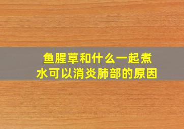 鱼腥草和什么一起煮水可以消炎肺部的原因