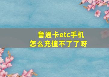 鲁通卡etc手机怎么充值不了了呀