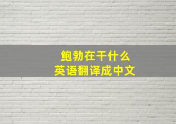 鲍勃在干什么英语翻译成中文