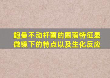 鲍曼不动杆菌的菌落特征显微镜下的特点以及生化反应