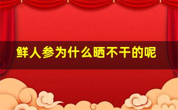 鲜人参为什么晒不干的呢