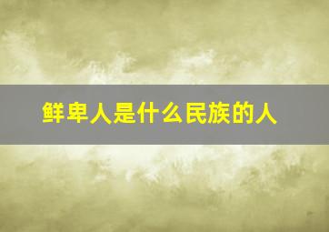 鲜卑人是什么民族的人