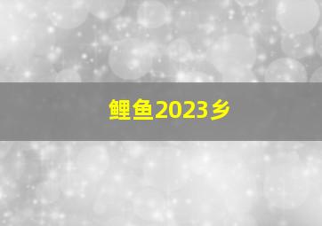 鲤鱼2023乡