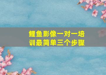 鲤鱼影像一对一培训最简单三个步骤