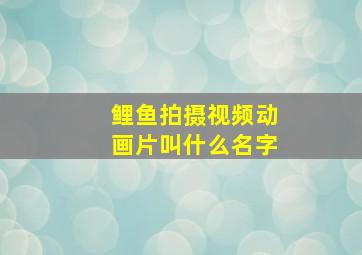 鲤鱼拍摄视频动画片叫什么名字