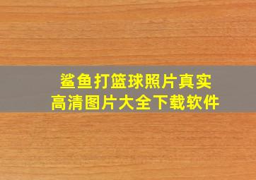 鲨鱼打篮球照片真实高清图片大全下载软件