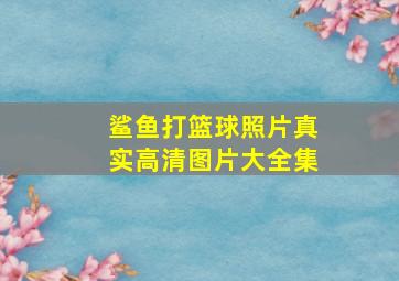 鲨鱼打篮球照片真实高清图片大全集