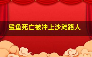 鲨鱼死亡被冲上沙滩路人