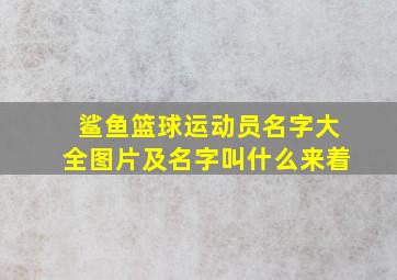 鲨鱼篮球运动员名字大全图片及名字叫什么来着