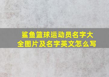 鲨鱼篮球运动员名字大全图片及名字英文怎么写