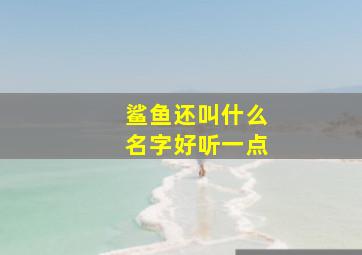 鲨鱼还叫什么名字好听一点