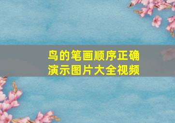 鸟的笔画顺序正确演示图片大全视频