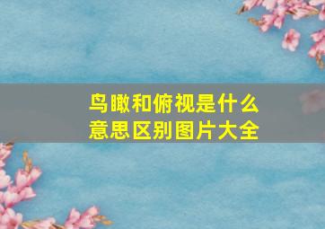 鸟瞰和俯视是什么意思区别图片大全