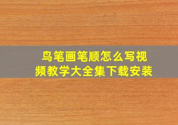 鸟笔画笔顺怎么写视频教学大全集下载安装