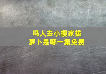 鸣人去小樱家拔萝卜是哪一集免费