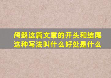 鸬鹚这篇文章的开头和结尾这种写法叫什么好处是什么