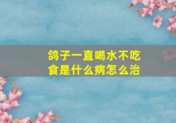 鸽子一直喝水不吃食是什么病怎么治