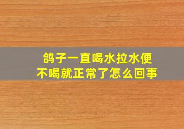 鸽子一直喝水拉水便不喝就正常了怎么回事