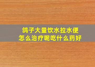 鸽子大量饮水拉水便怎么治疗呢吃什么药好