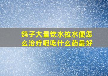 鸽子大量饮水拉水便怎么治疗呢吃什么药最好