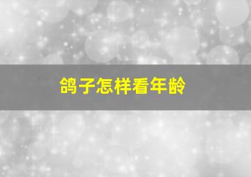 鸽子怎样看年龄