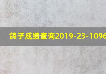 鸽子成绩查询2019-23-1096238