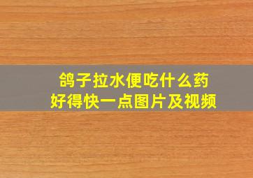 鸽子拉水便吃什么药好得快一点图片及视频