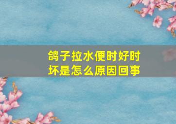 鸽子拉水便时好时坏是怎么原因回事