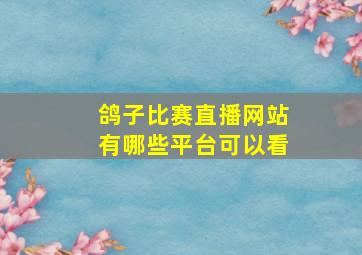 鸽子比赛直播网站有哪些平台可以看