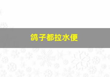 鸽子都拉水便