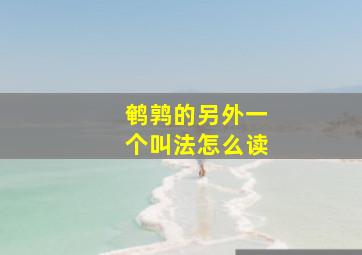 鹌鹑的另外一个叫法怎么读