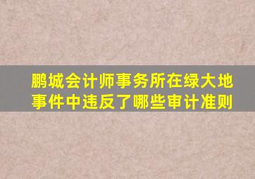 鹏城会计师事务所在绿大地事件中违反了哪些审计准则