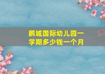 鹏城国际幼儿园一学期多少钱一个月