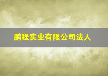 鹏程实业有限公司法人