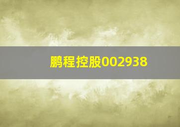 鹏程控股002938