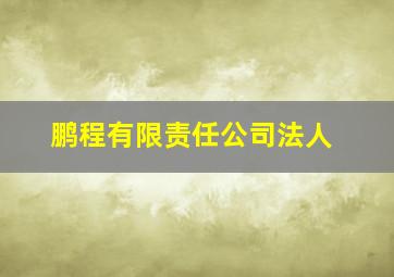 鹏程有限责任公司法人