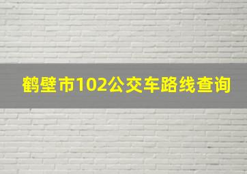 鹤壁市102公交车路线查询