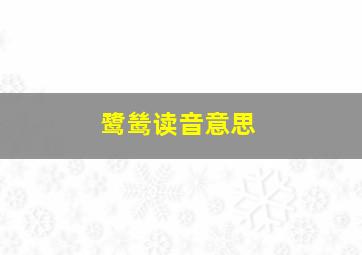 鹭鸶读音意思