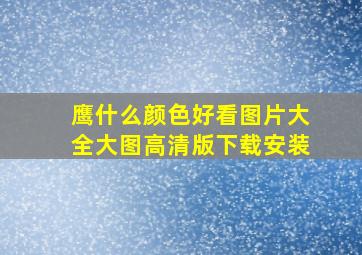 鹰什么颜色好看图片大全大图高清版下载安装