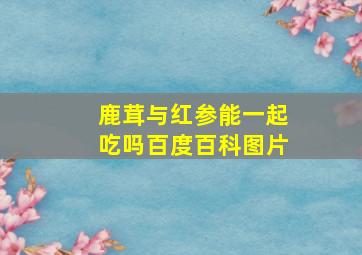 鹿茸与红参能一起吃吗百度百科图片