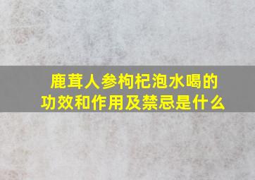 鹿茸人参枸杞泡水喝的功效和作用及禁忌是什么