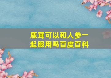 鹿茸可以和人参一起服用吗百度百科